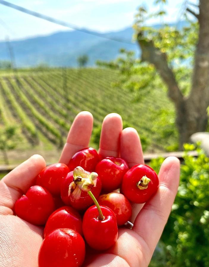 Agriturismo Pian Del Duca Vesime Εξωτερικό φωτογραφία
