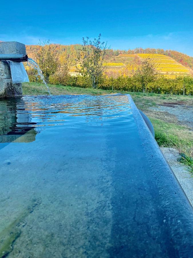 Agriturismo Pian Del Duca Vesime Εξωτερικό φωτογραφία