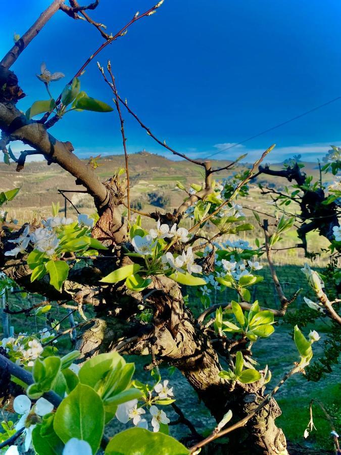 Agriturismo Pian Del Duca Vesime Εξωτερικό φωτογραφία