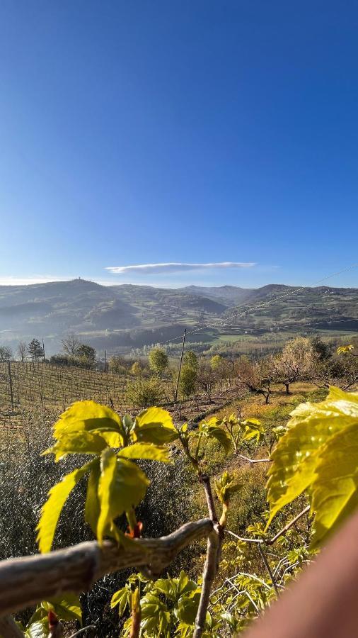 Agriturismo Pian Del Duca Vesime Εξωτερικό φωτογραφία